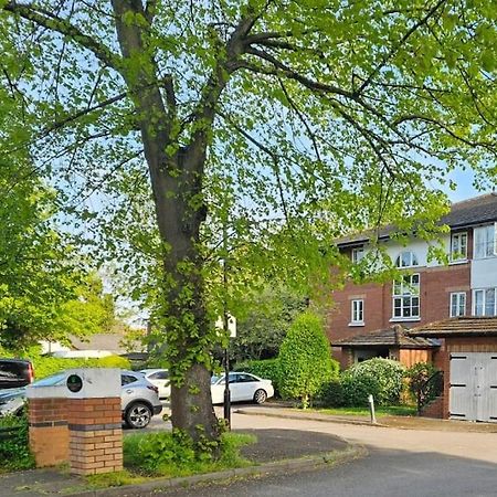 Lovely Flat Close To Shepherd'S Bush Leilighet London Eksteriør bilde